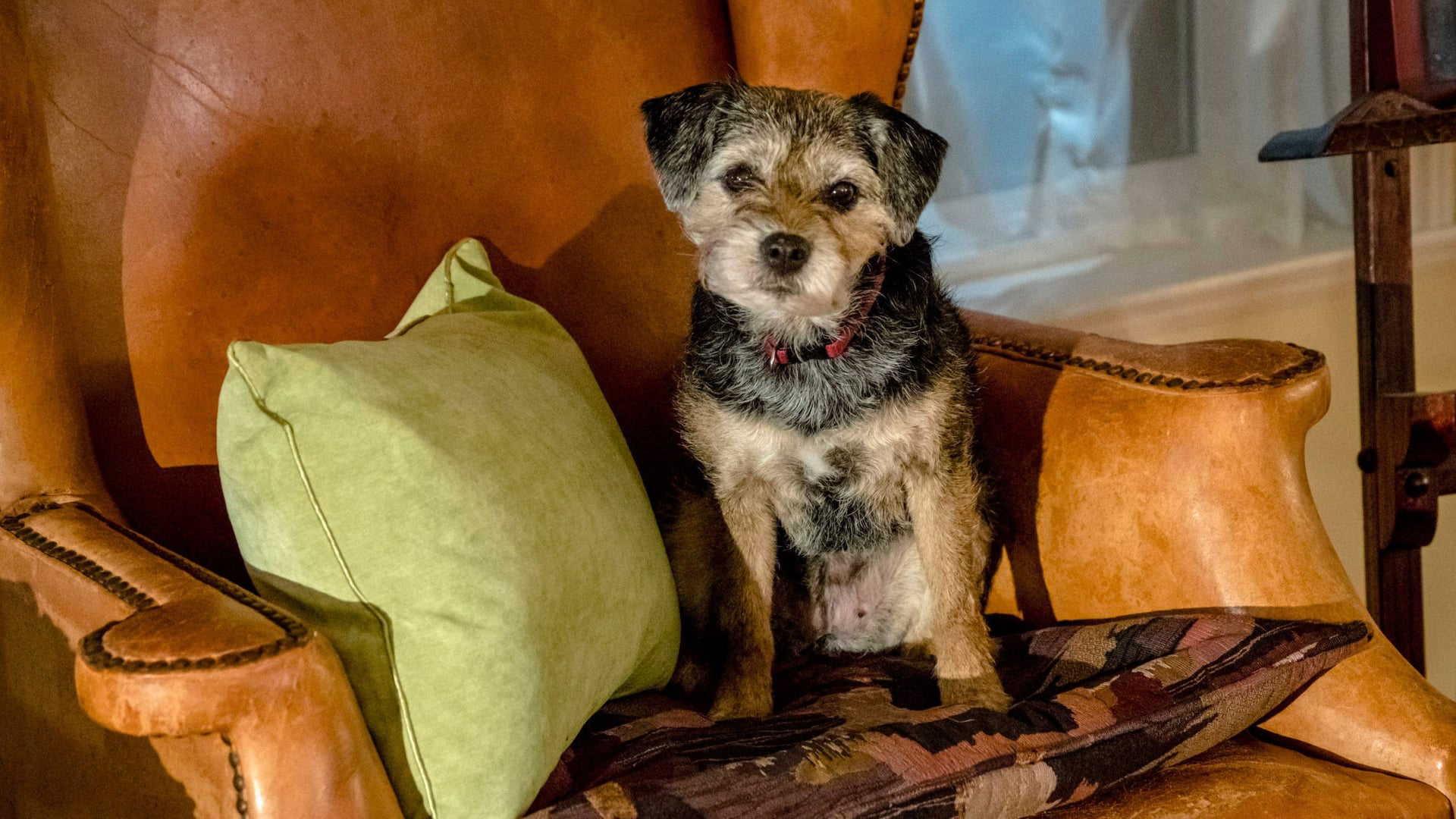 Foto do filme The Art of Us