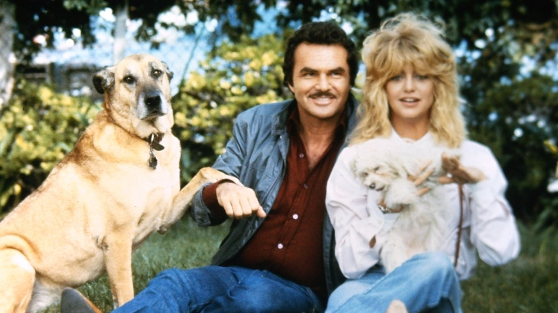 Foto do filme Amigos Muito Íntimos
