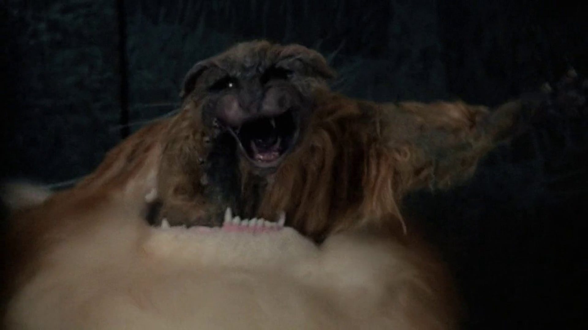 Foto do filme Sem Convite