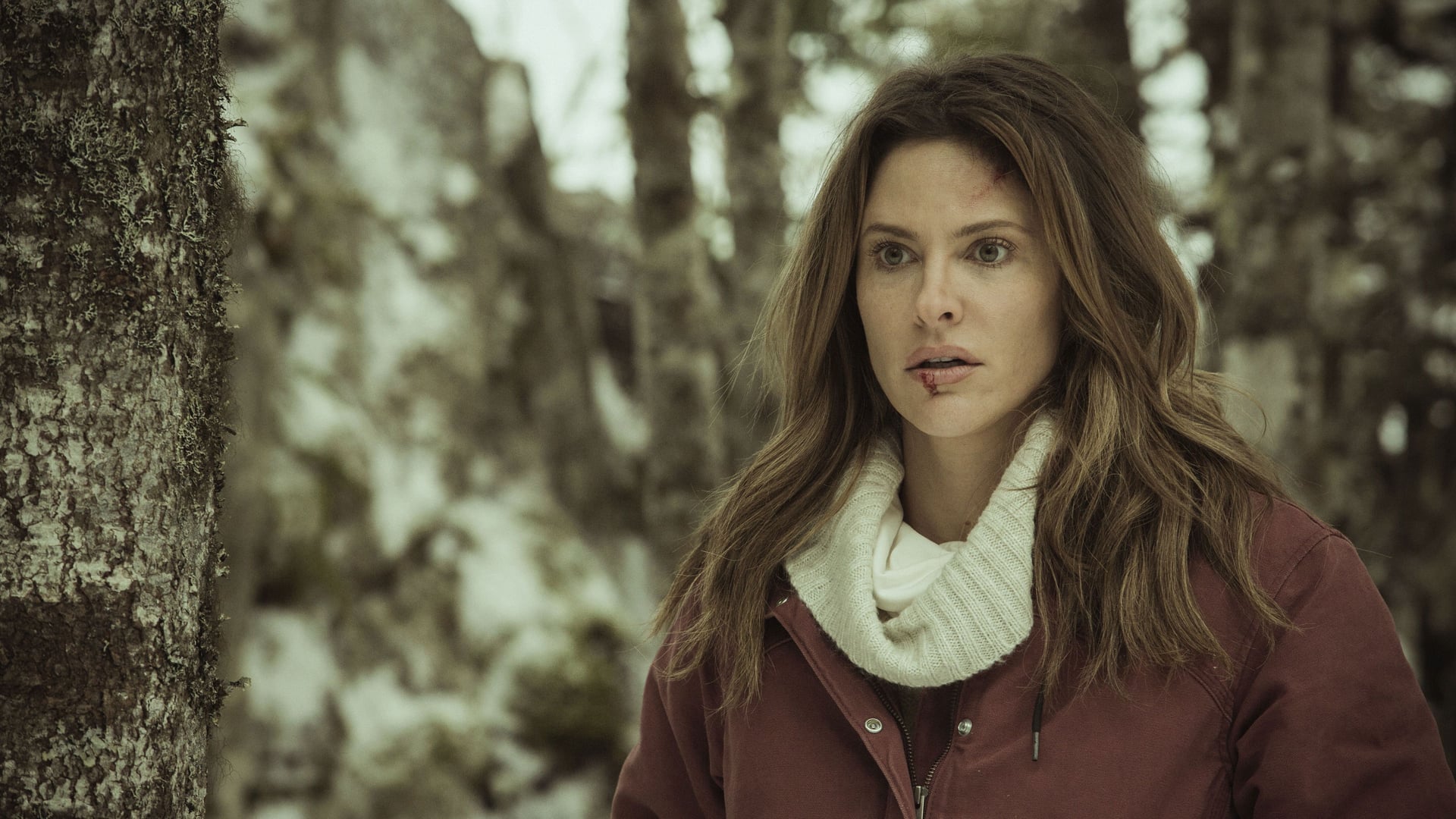 Foto do filme Perigo na Montanha