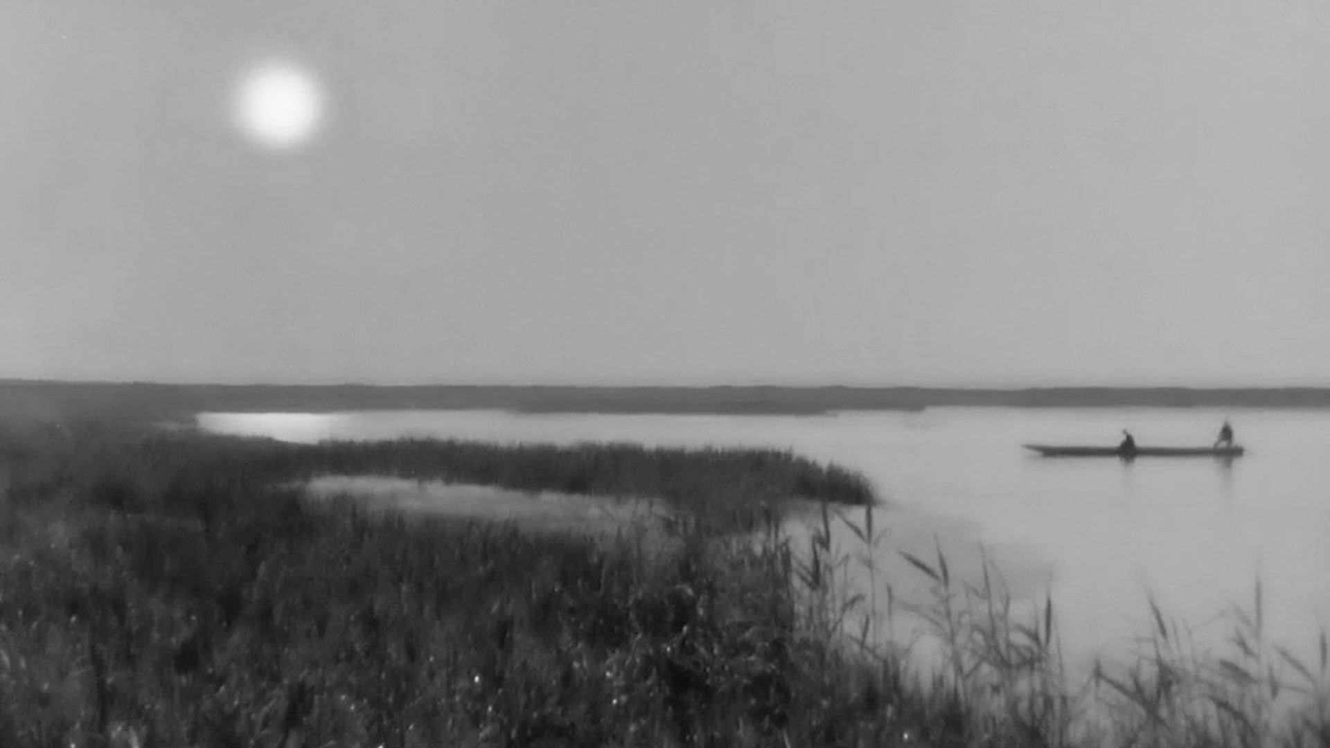 Foto do filme Senhorita Oyu