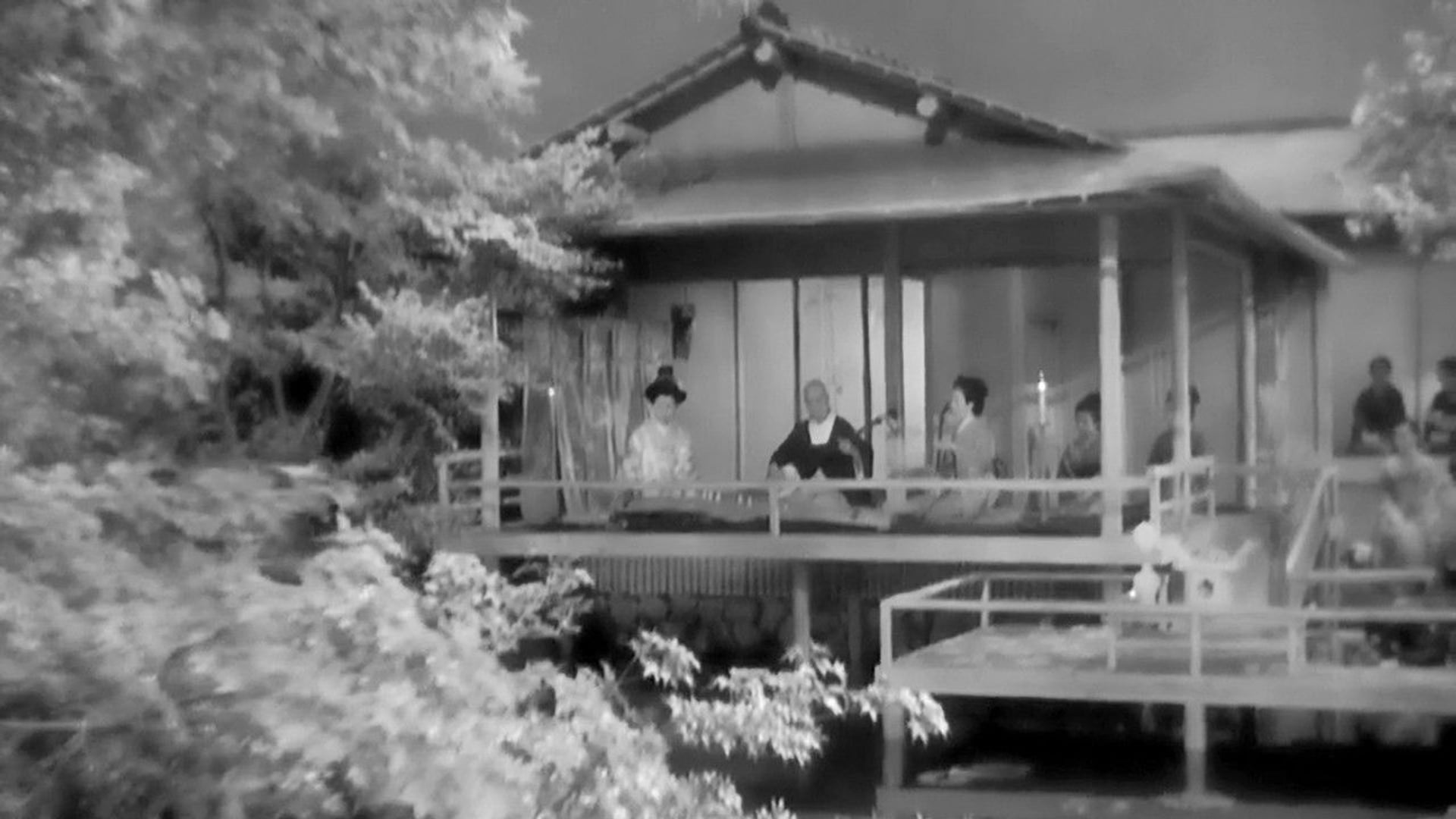 Foto do filme Senhorita Oyu