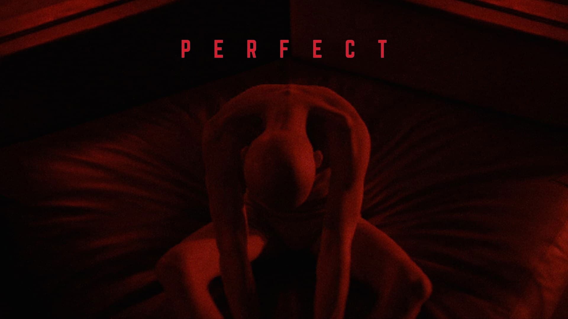 Foto do filme Perfect