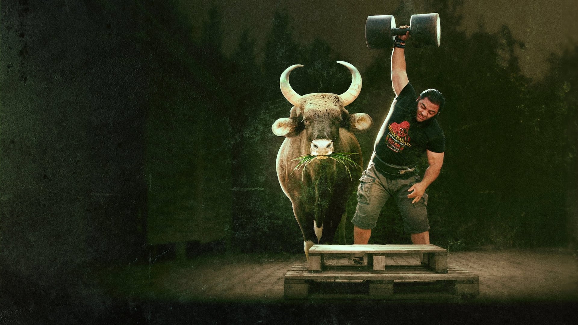 Foto do filme Dieta de Gladiadores