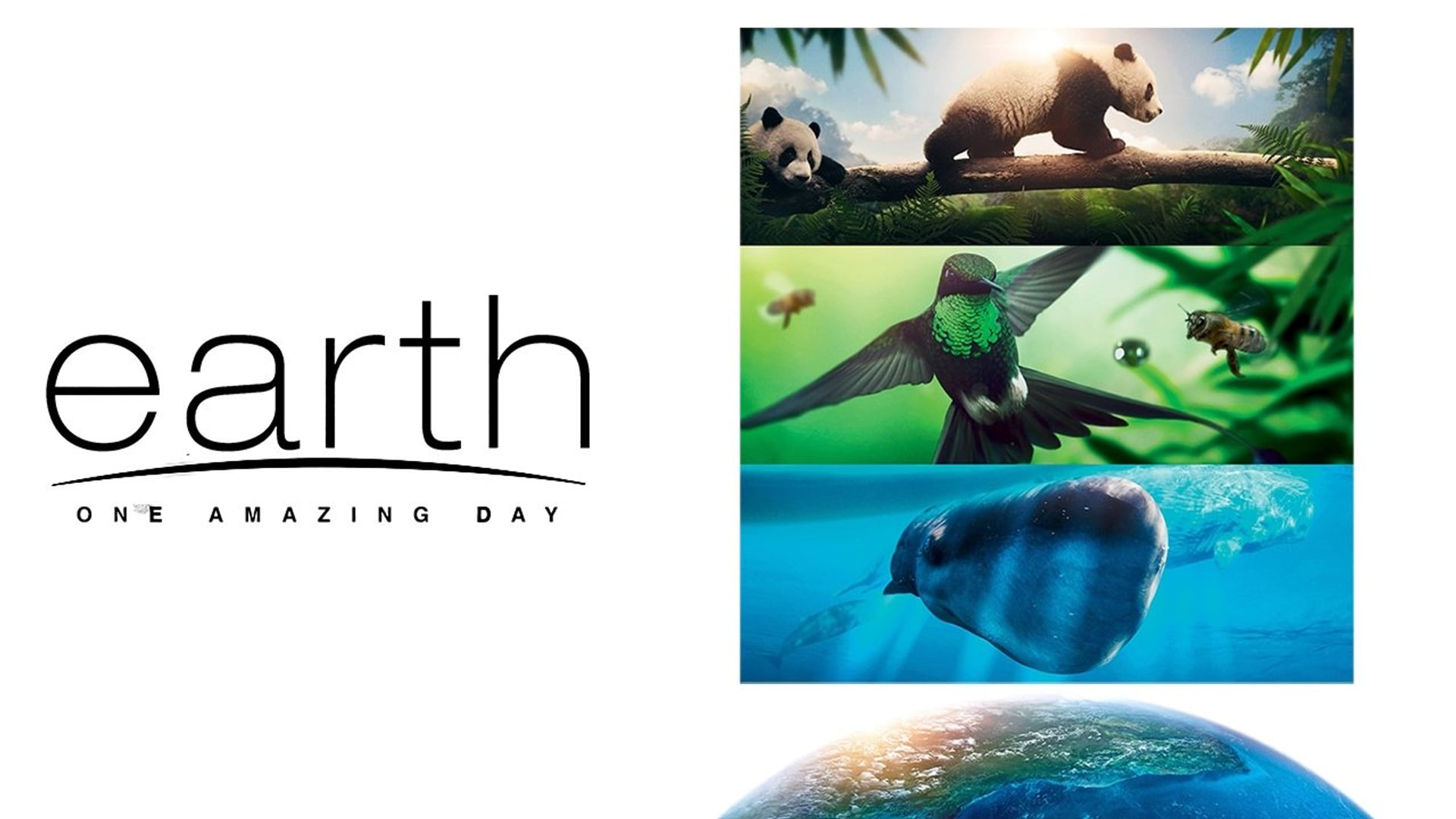 Foto do filme Terra: Um Dia Incrível