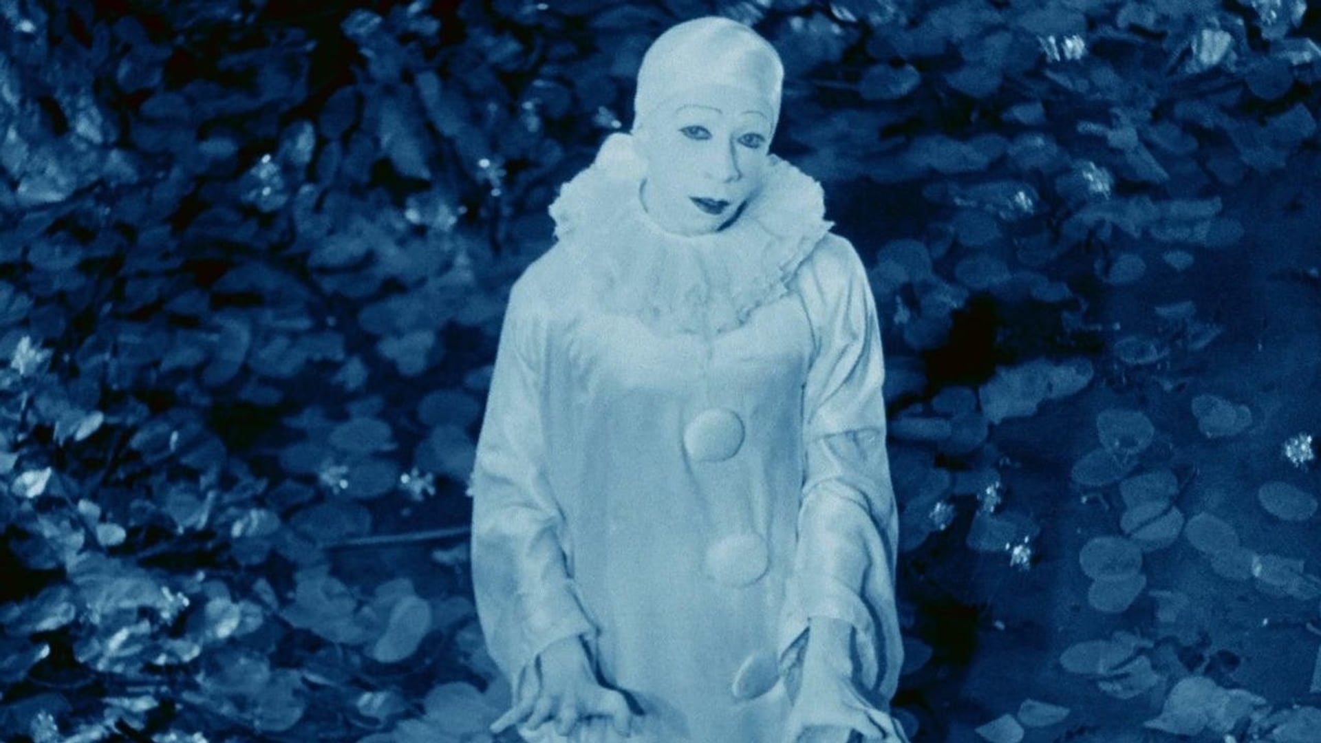 Foto do filme Rabbit's Moon