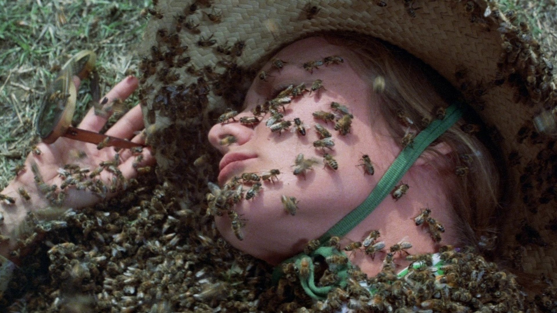 Foto do filme O Enxame