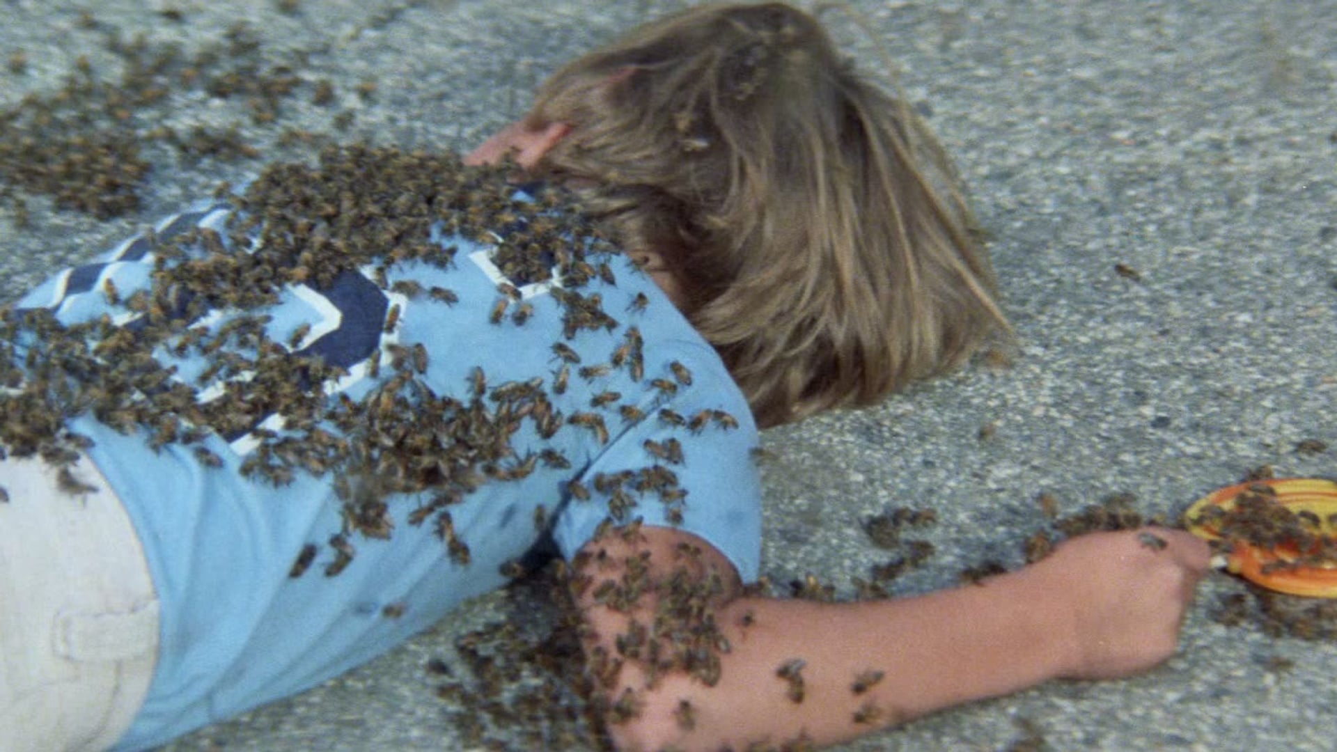 Foto do filme O Enxame