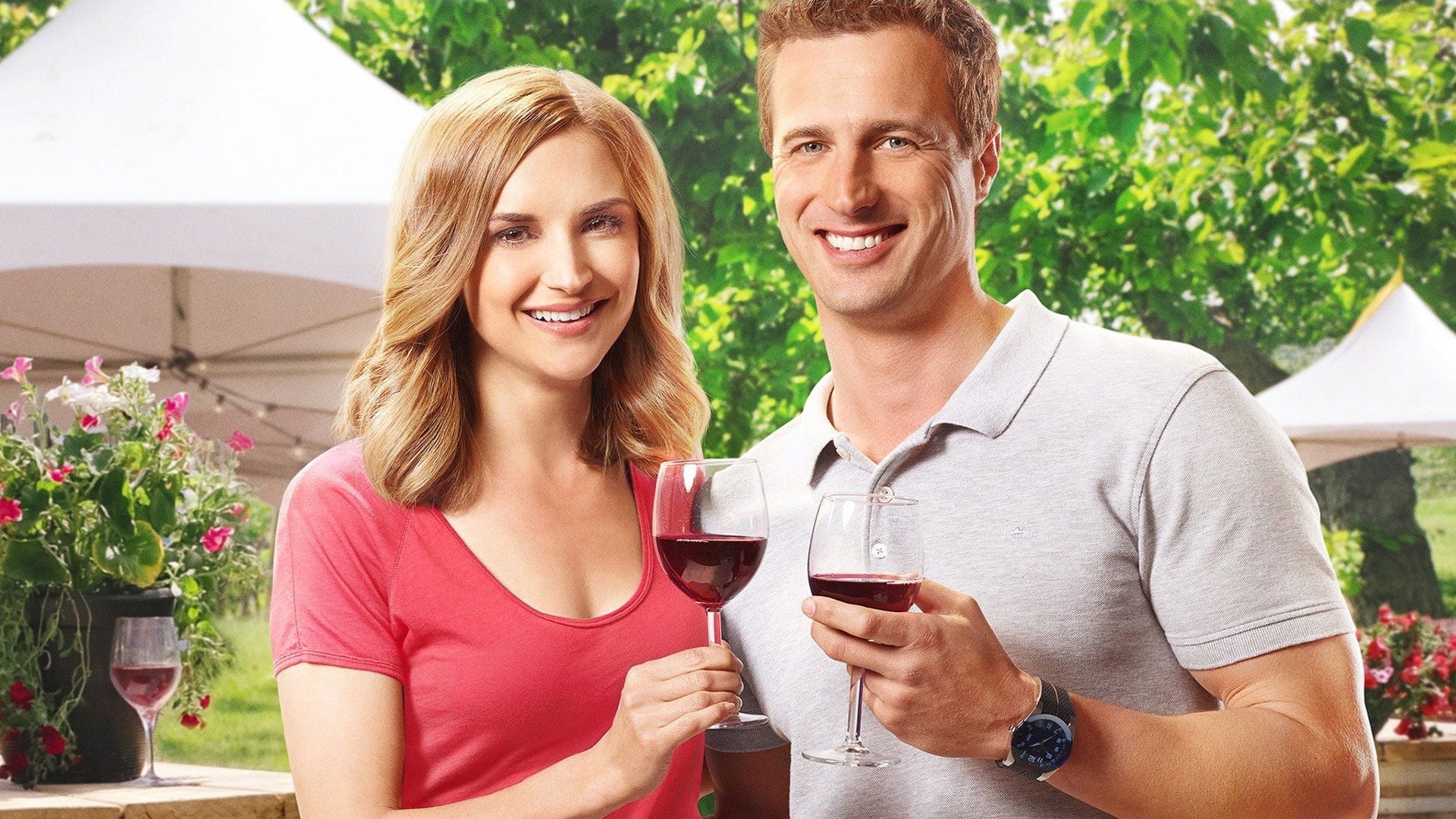 Foto do filme Summer in the Vineyard