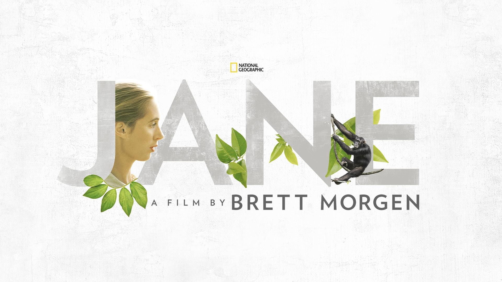 Foto do filme Jane: A Mãe dos Chimpanzés