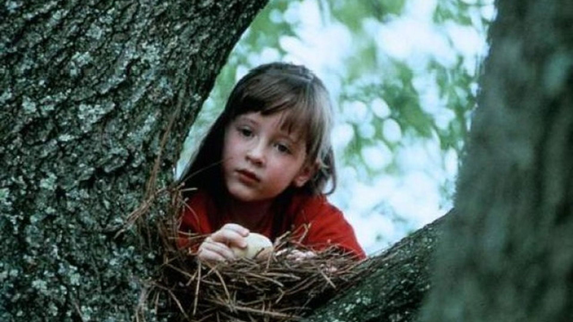 Foto do filme O Enigma das Cartas