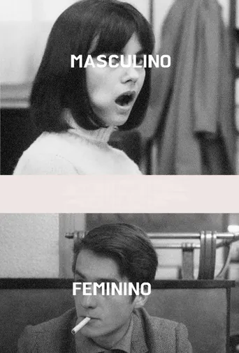 Masculino - Feminino