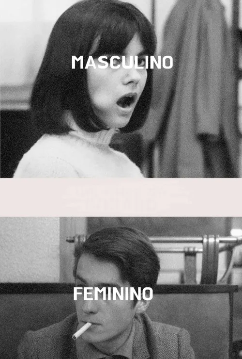 Masculino - Feminino