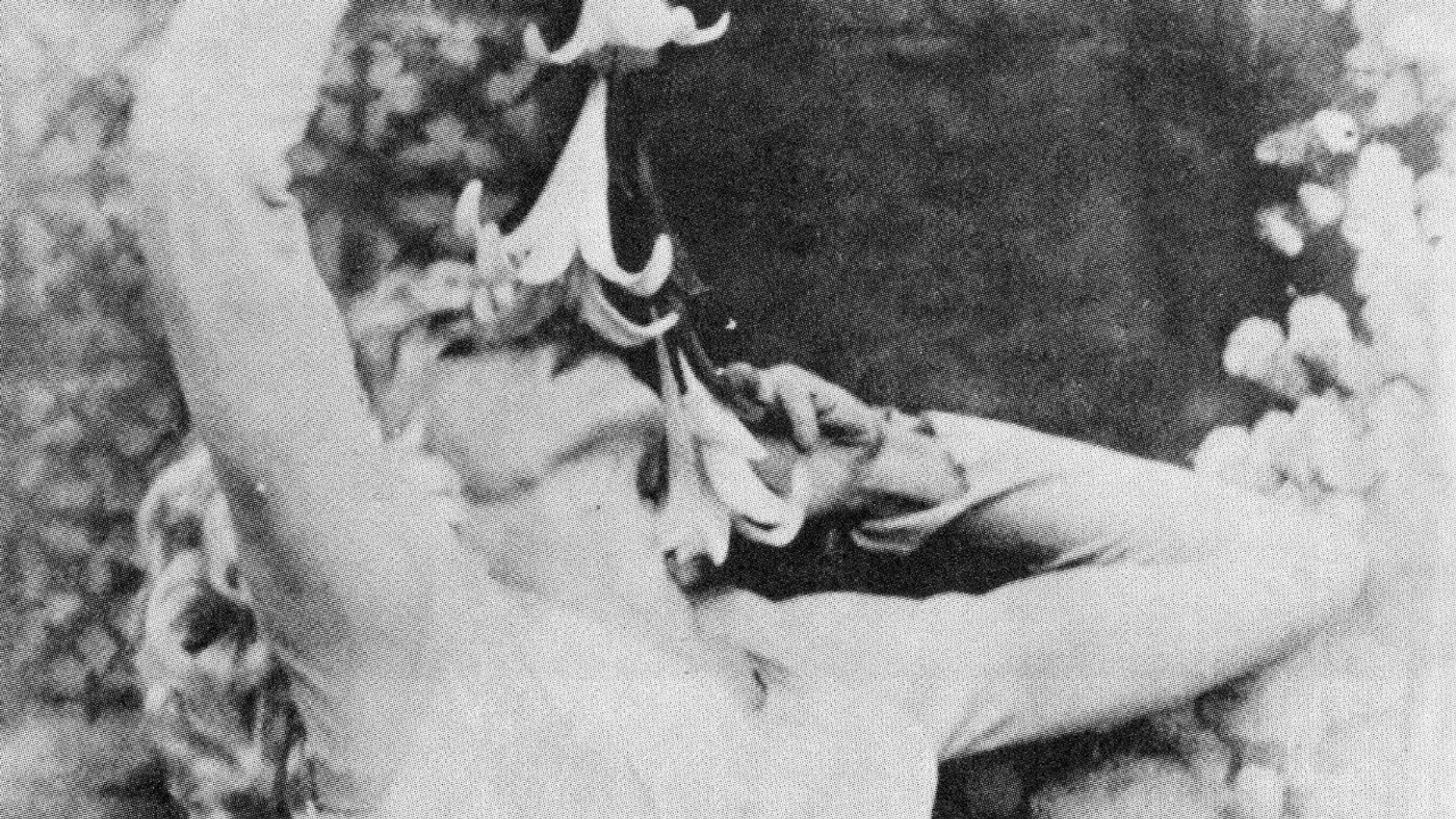 Foto do filme Criaturas Flamejantes