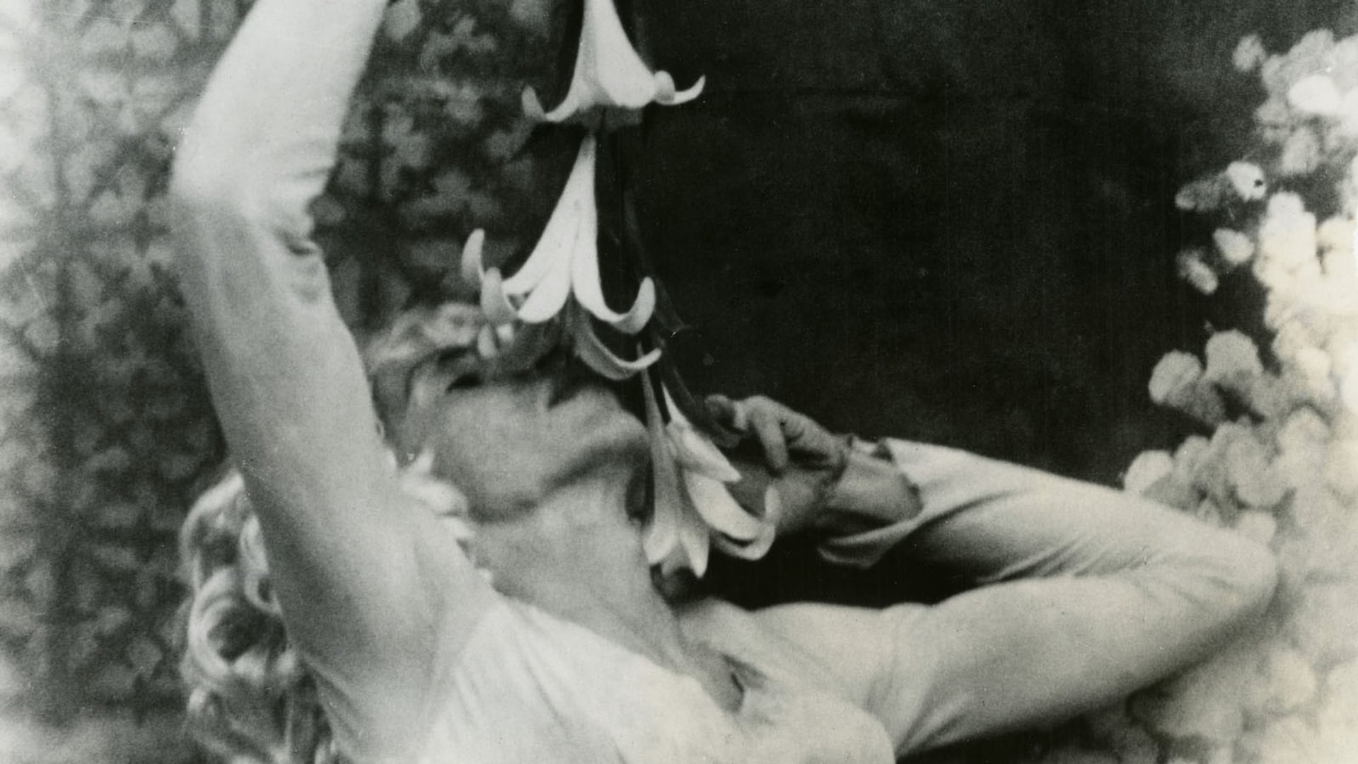 Foto do filme Criaturas Flamejantes