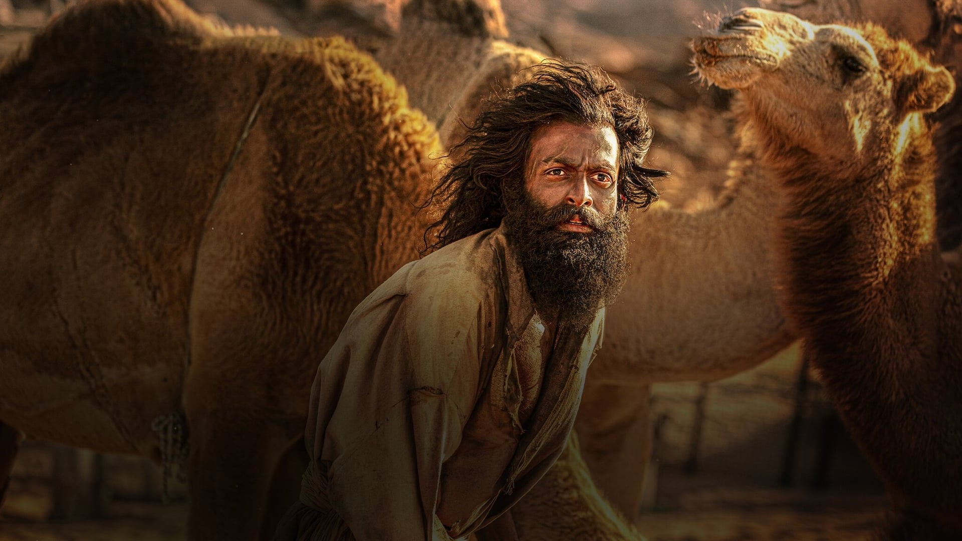 Foto do filme Vida de Cabra