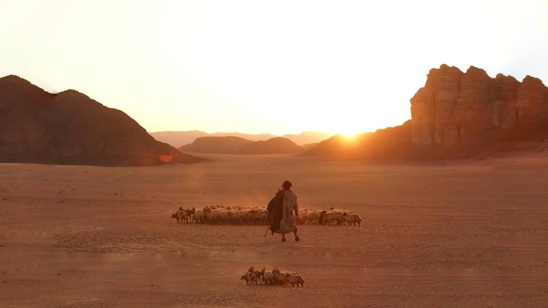 Foto do filme Vida de Cabra