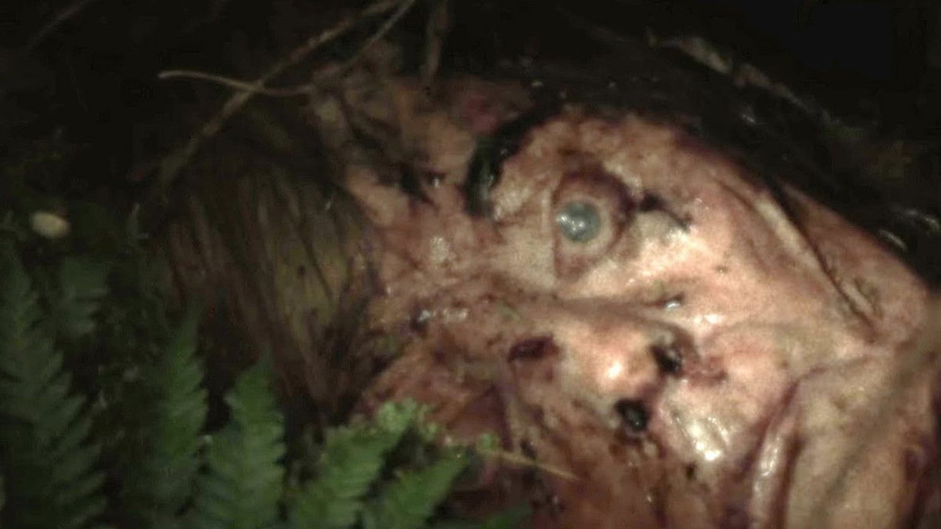 Foto do filme Cold Ground