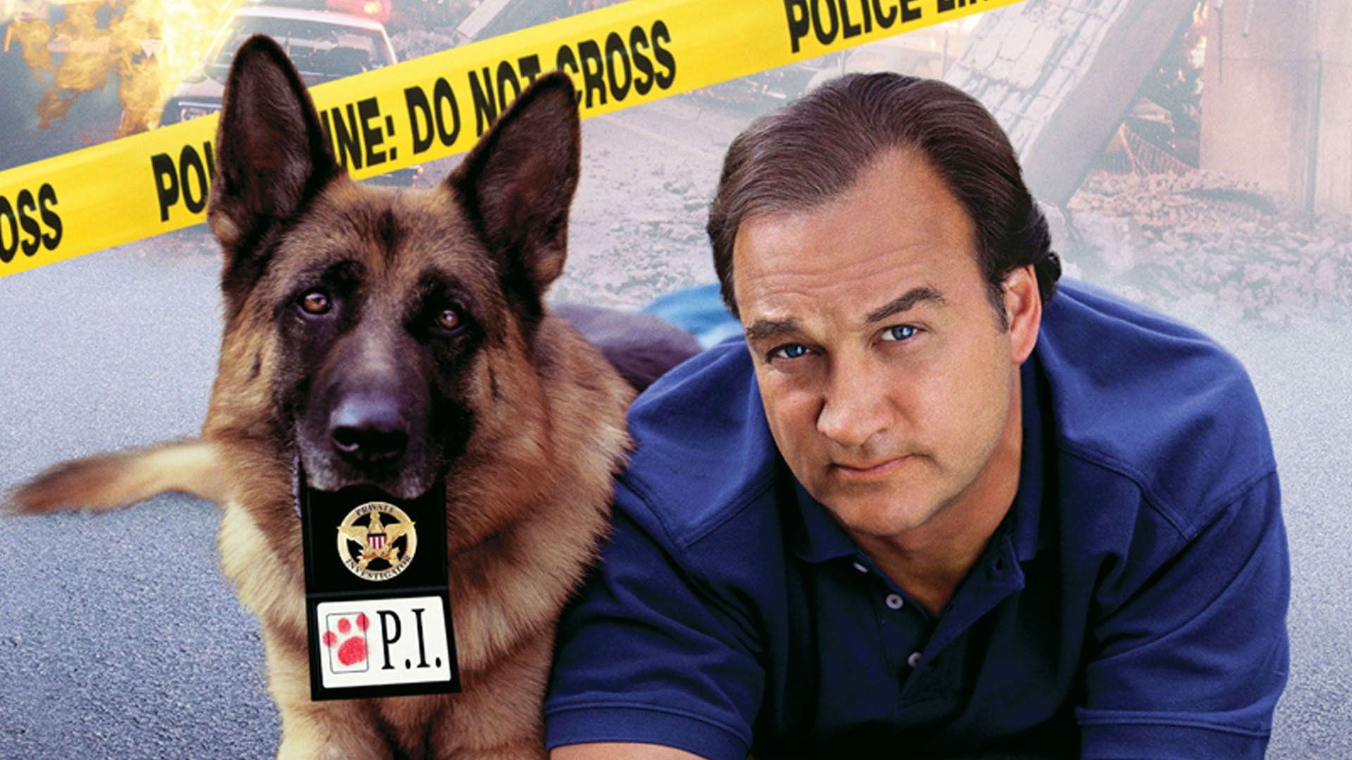 Foto do filme K-9: D.P.: Um Policial Bom pra Cachorro