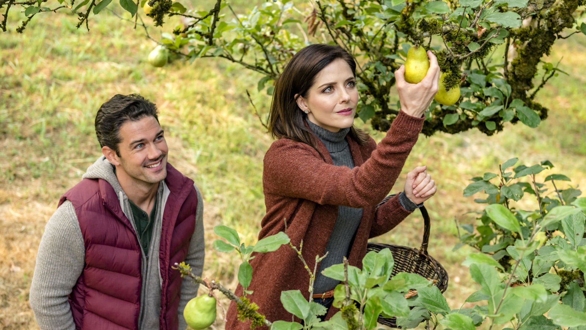 Foto do filme Colhendo Amor