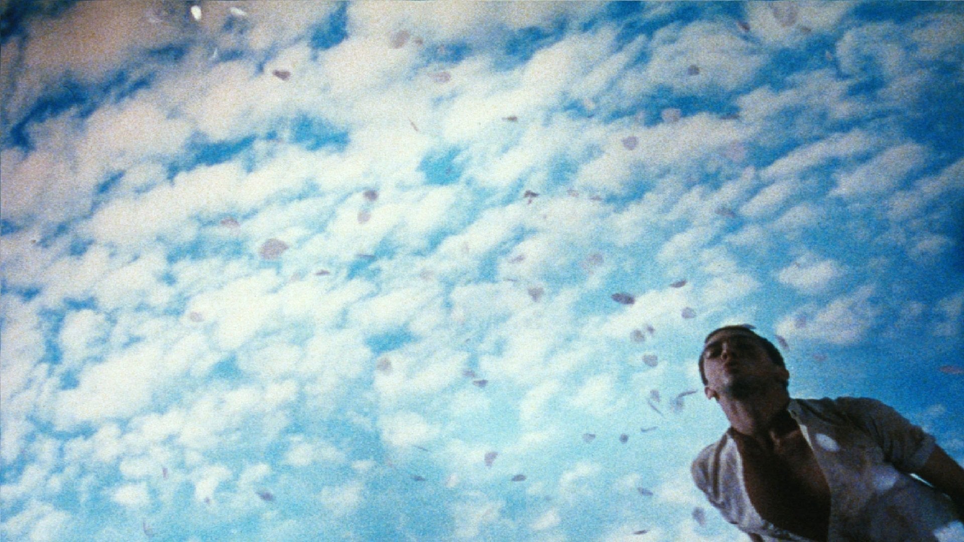 Foto do filme Veneno