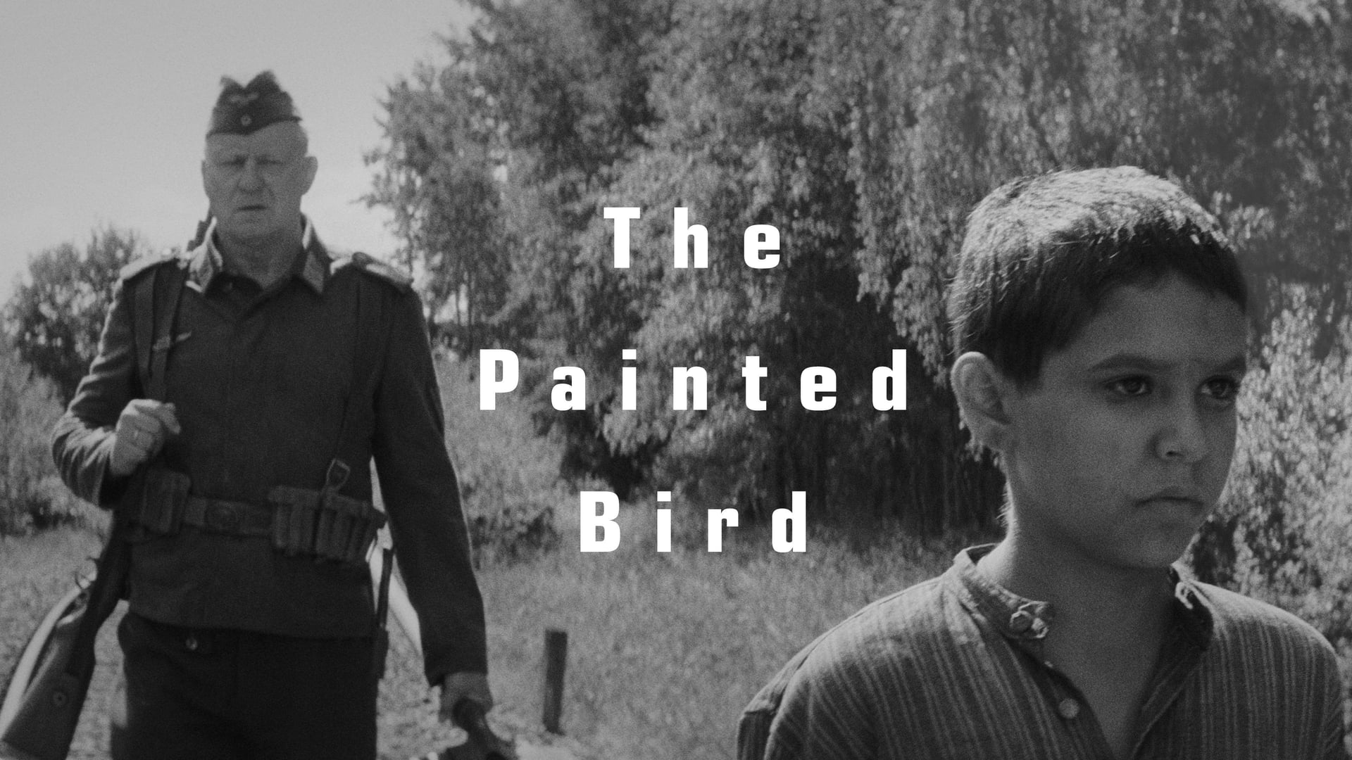 Foto do filme O Pássaro Pintado