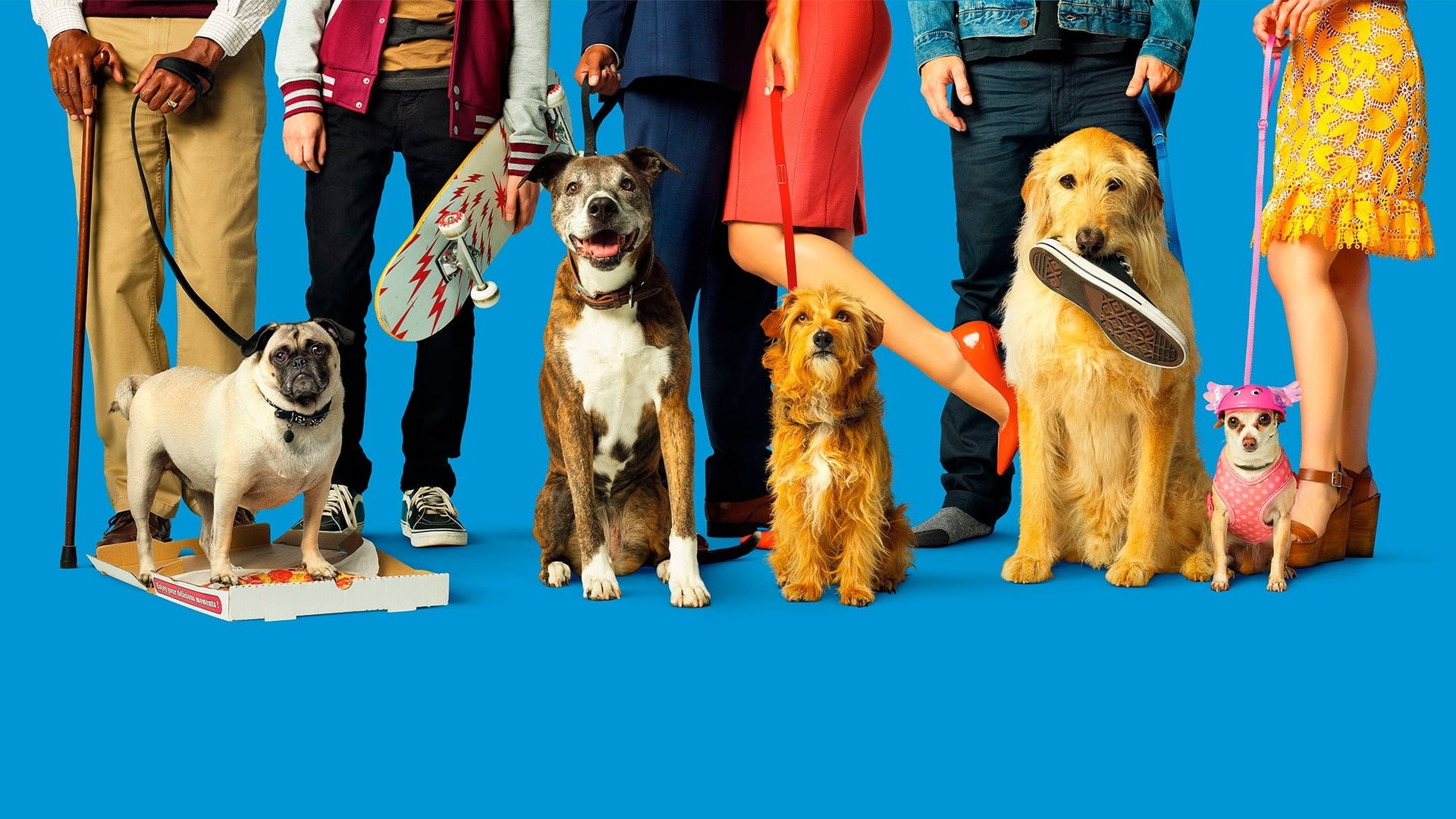 Foto do filme Nossa Vida com Cães