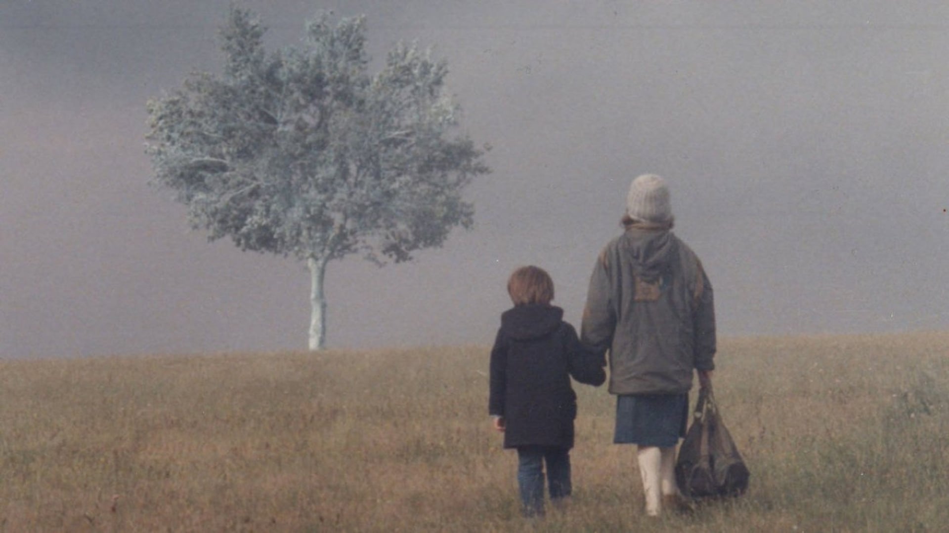 Foto do filme Landscape in the Mist