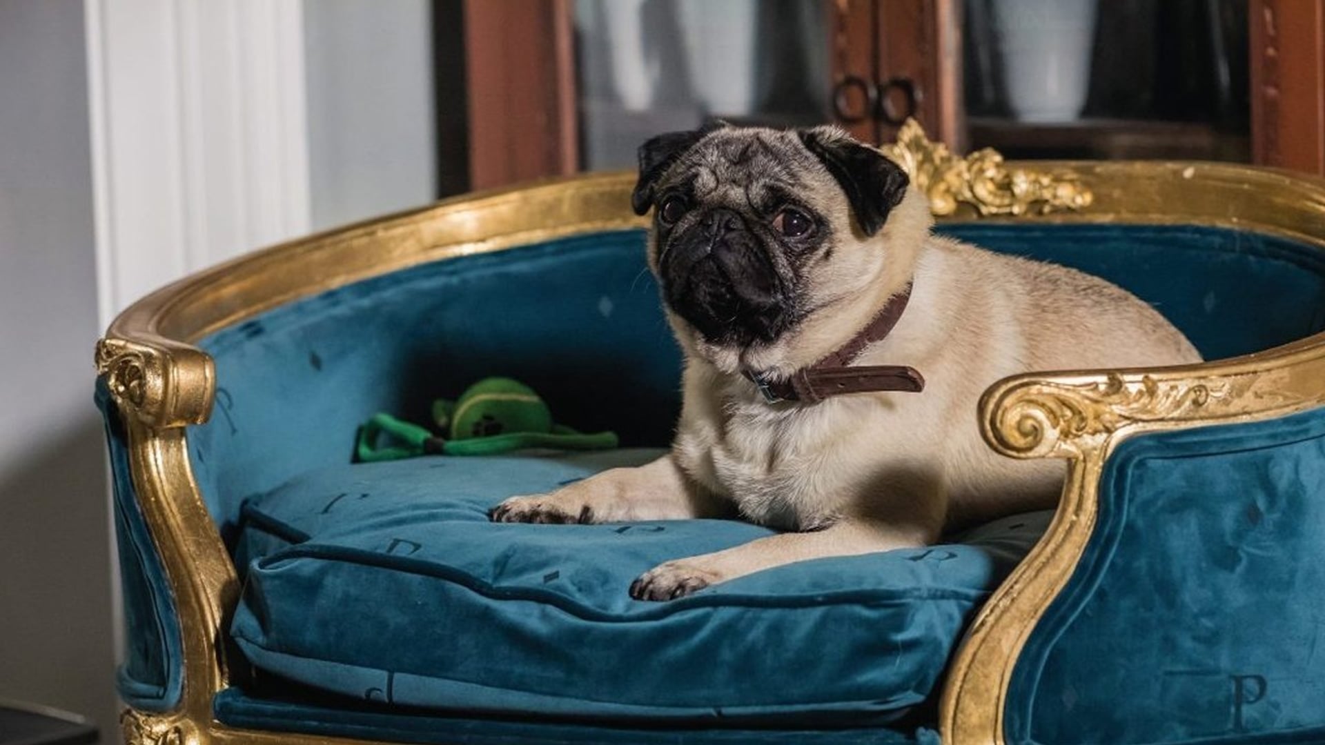 Foto do filme Patrick: Aprendendo a Amar