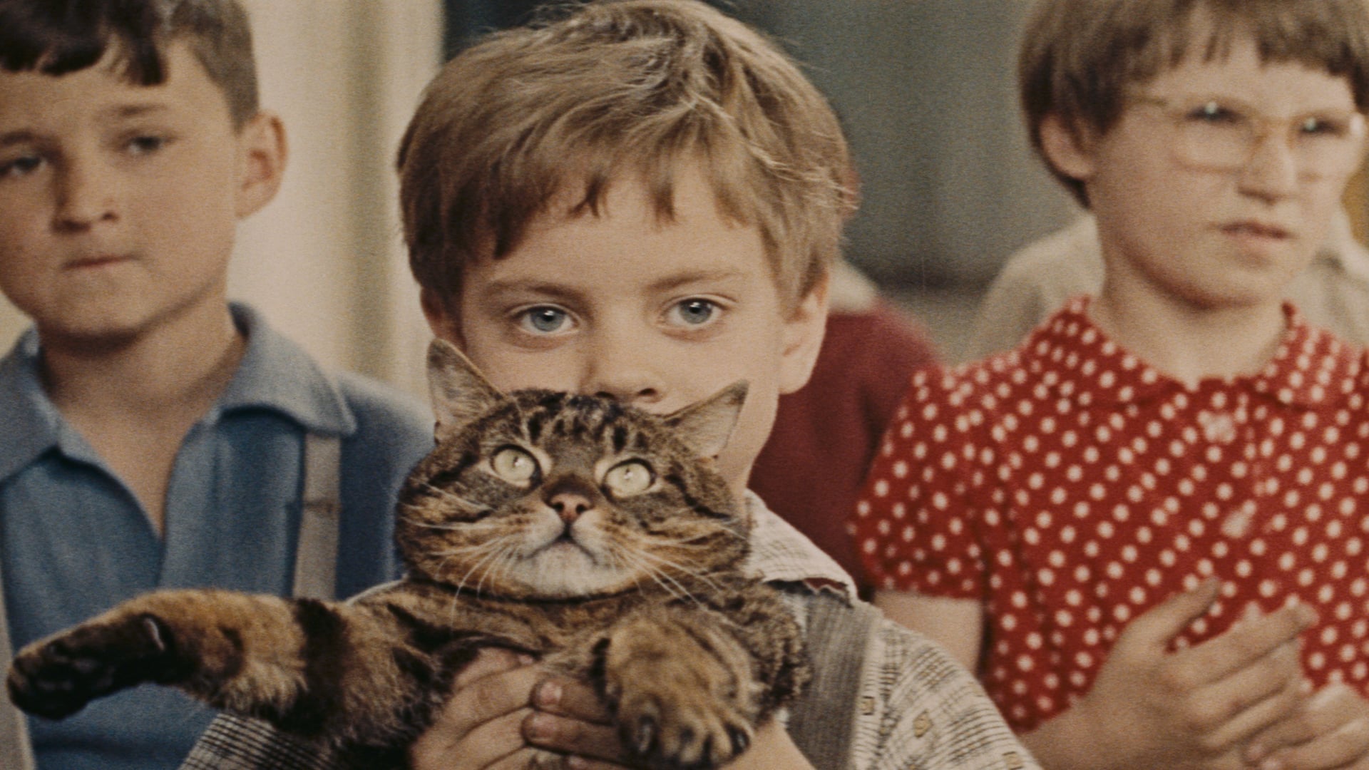 Foto do filme Um Dia, um Gato