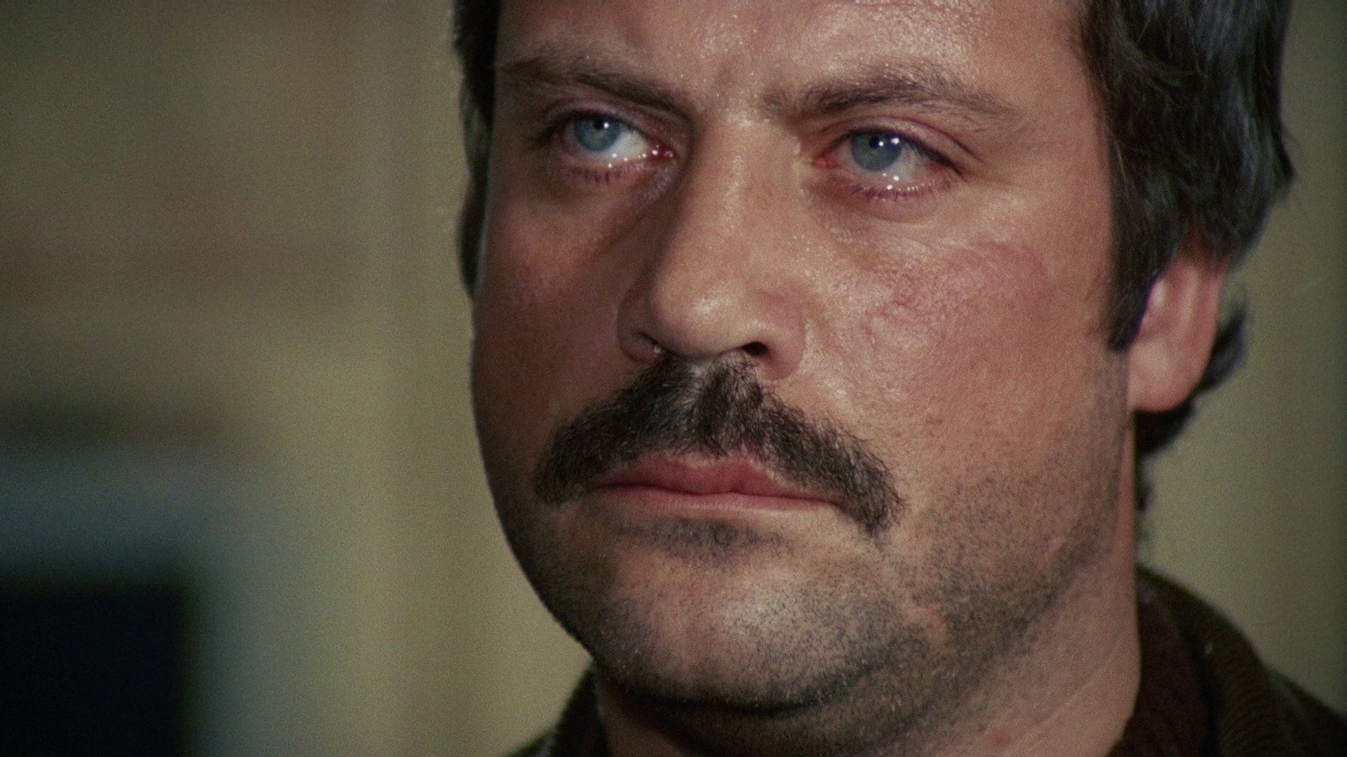 Foto do filme Revólver