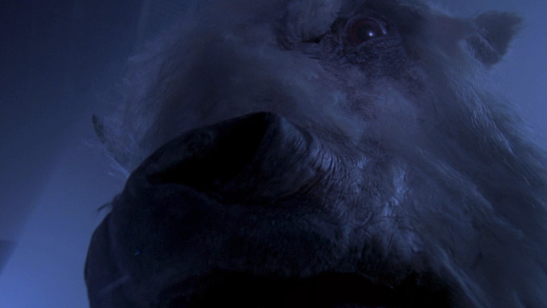 Foto do filme O Grande Búfalo Branco