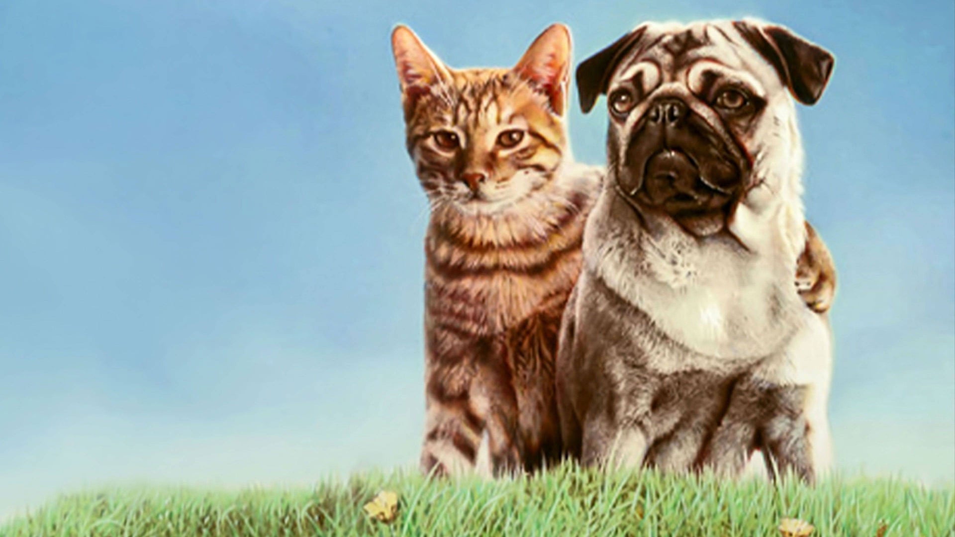 Foto do filme As Aventuras de Chatran