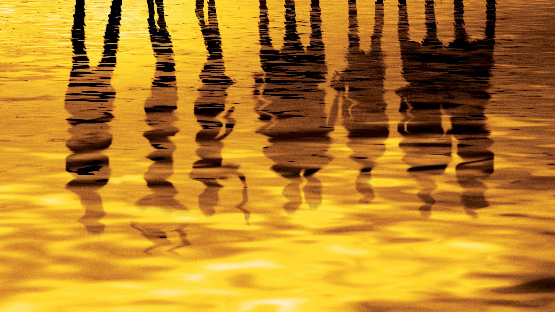 Foto do filme Até a Eternidade