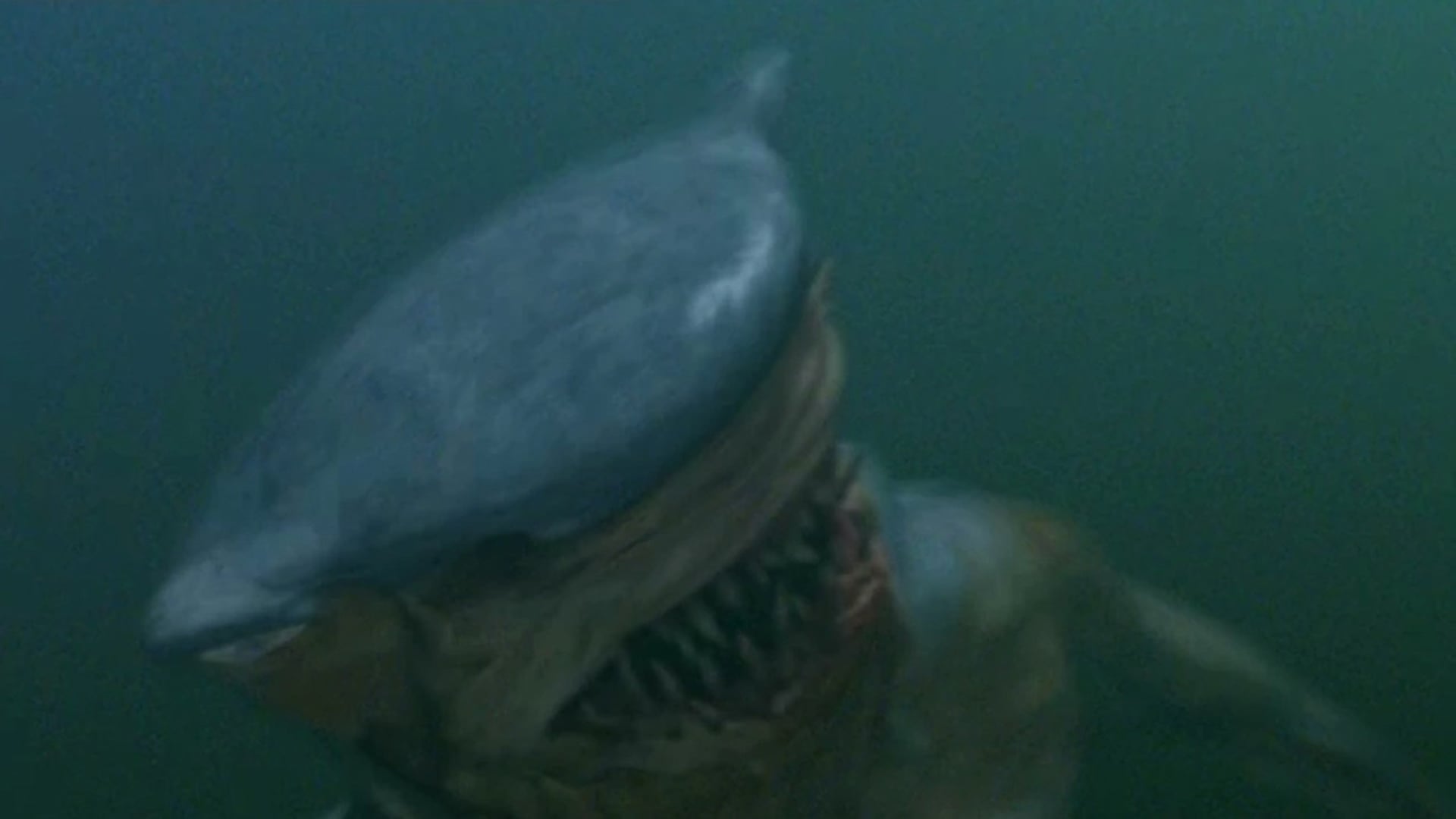 Foto do filme Hammerhead
