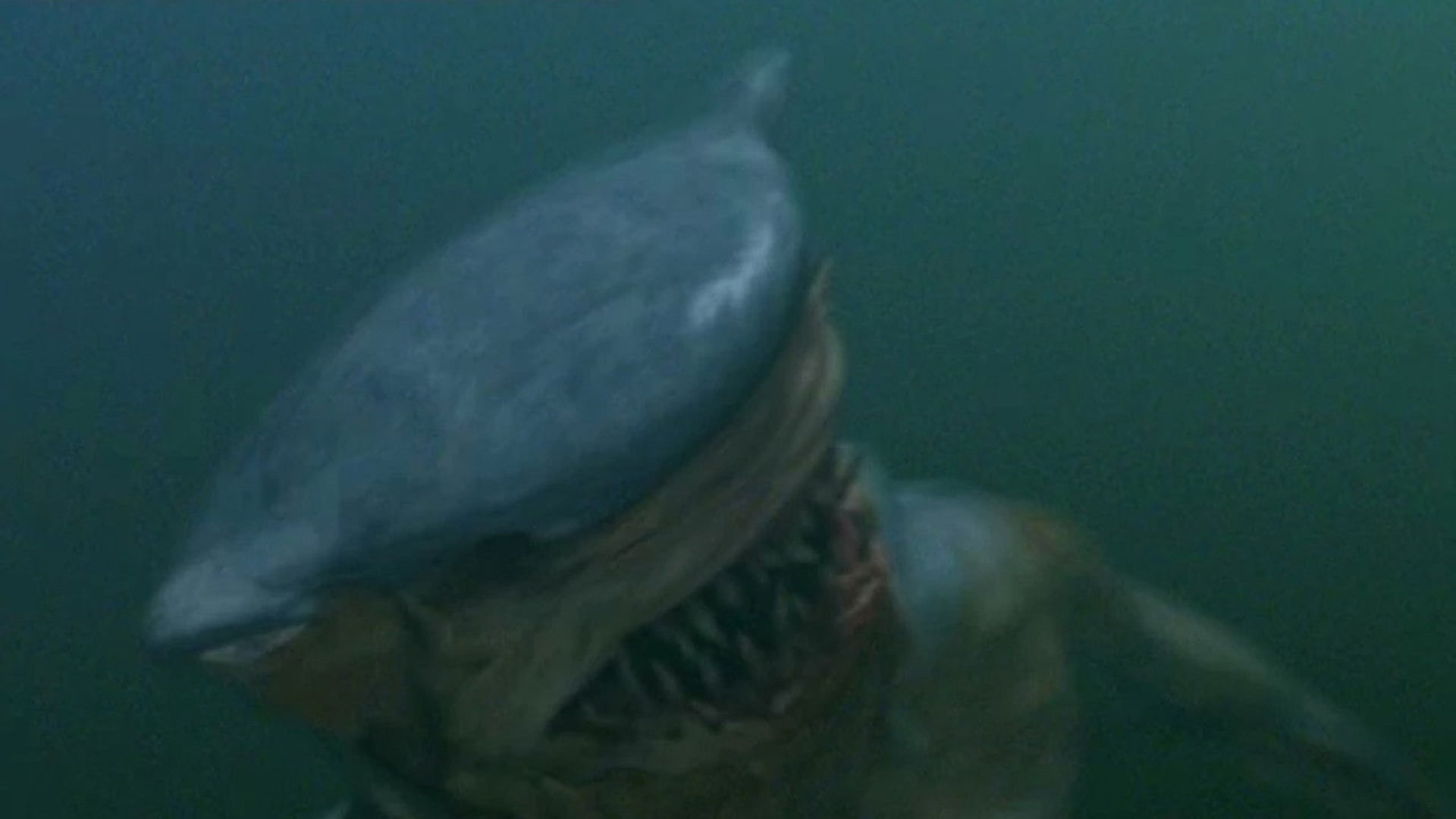 Foto do filme Hammerhead