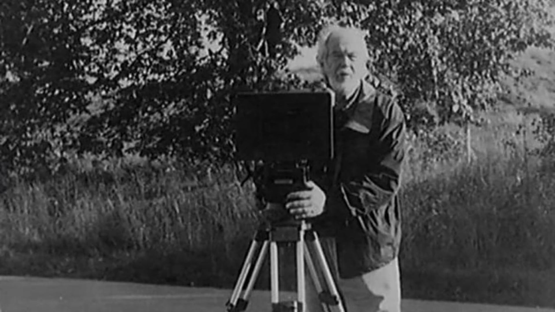 Foto do filme Lumière e Companhia