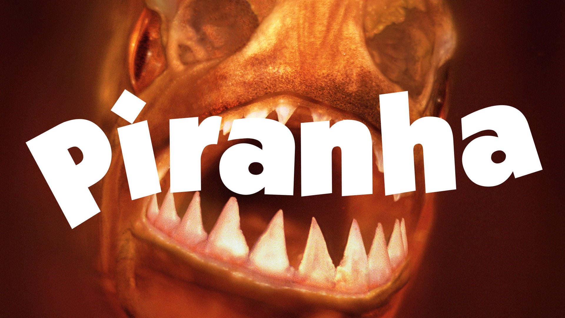 Foto do filme Piranha