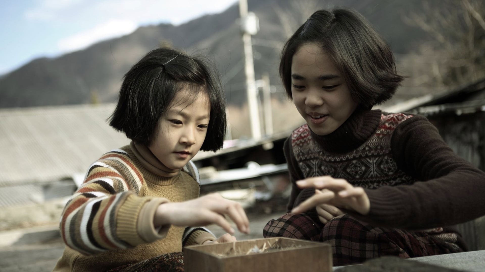 Foto do filme Uma Vida Nova em Folha