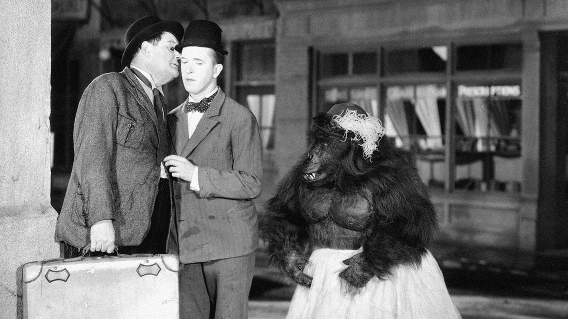 Foto do filme The Chimp