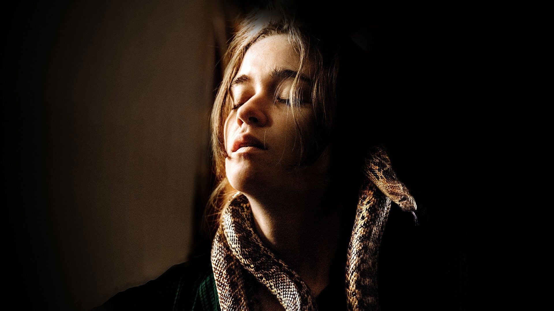 Foto do filme O Rastro da Serpente