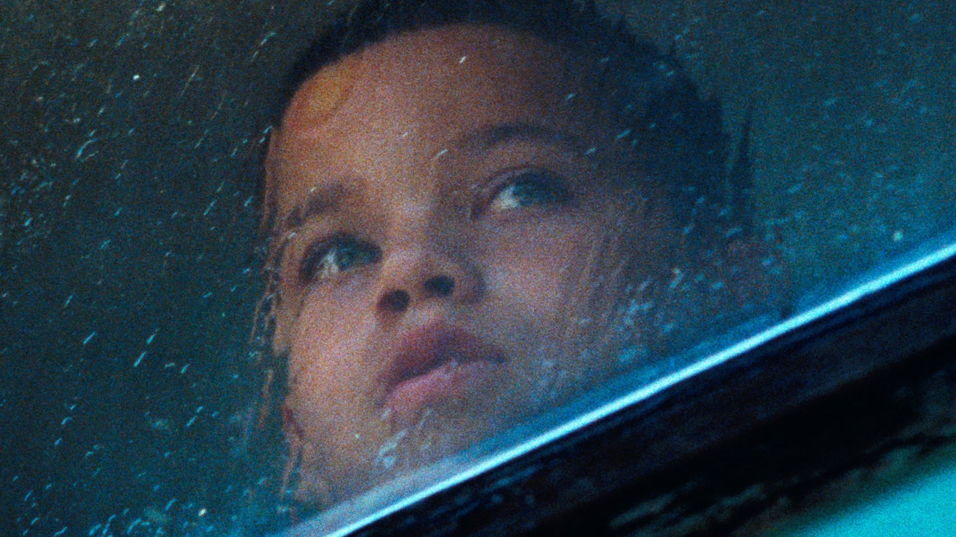 Foto do filme Os Animais Somos Nós