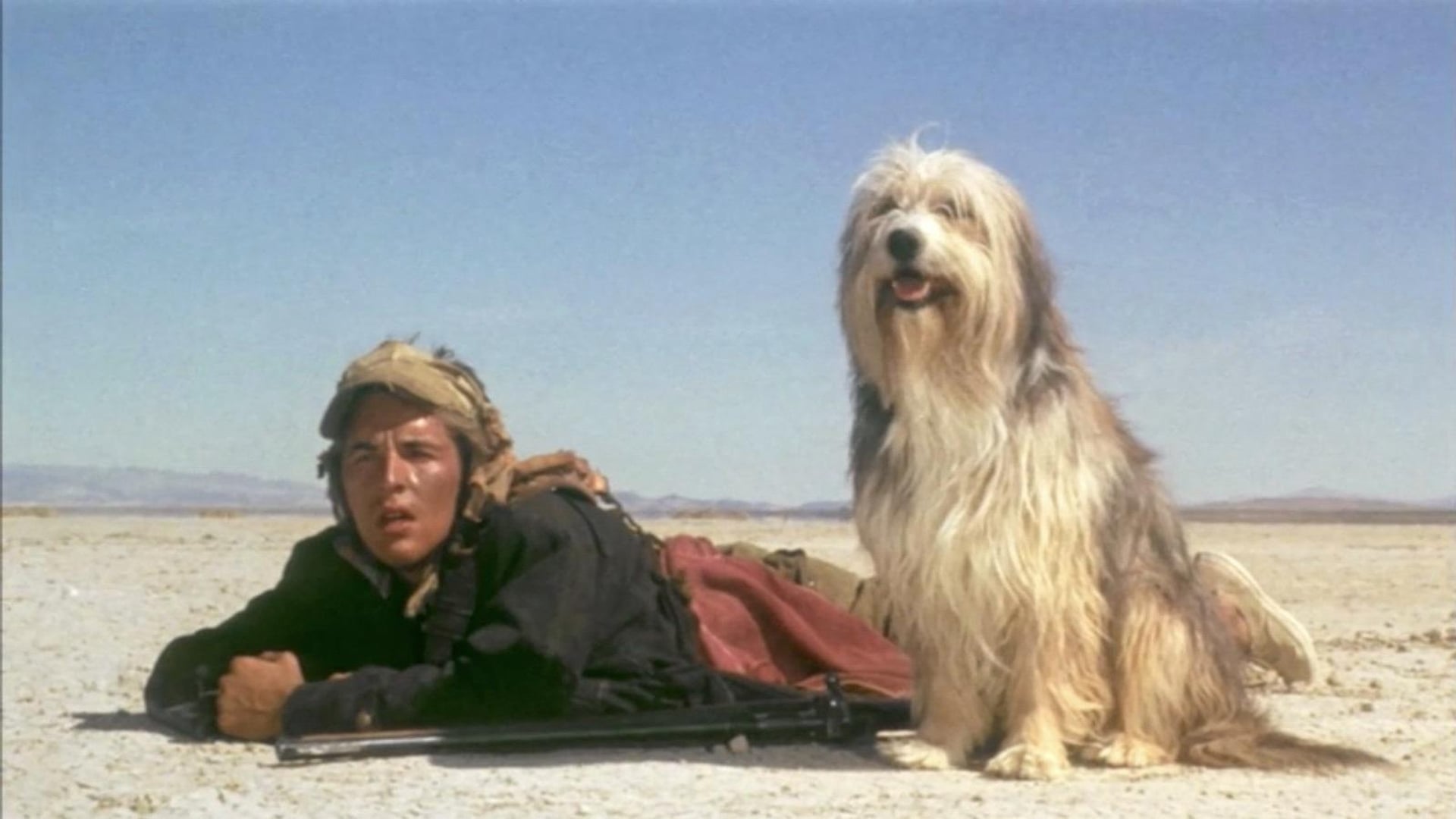 Foto do filme O Menino e seu Cachorro