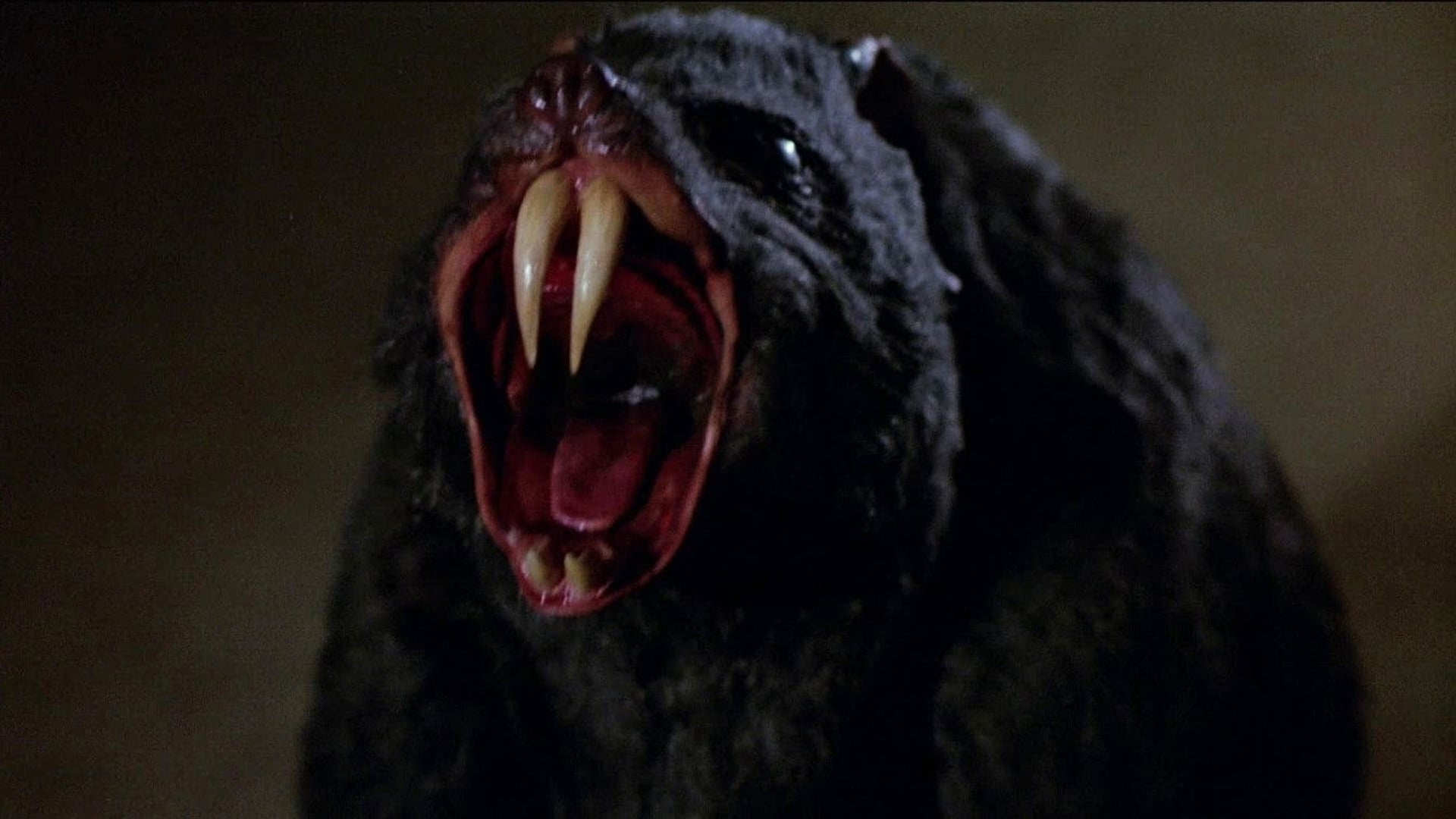 Foto do filme Olhos da Noite