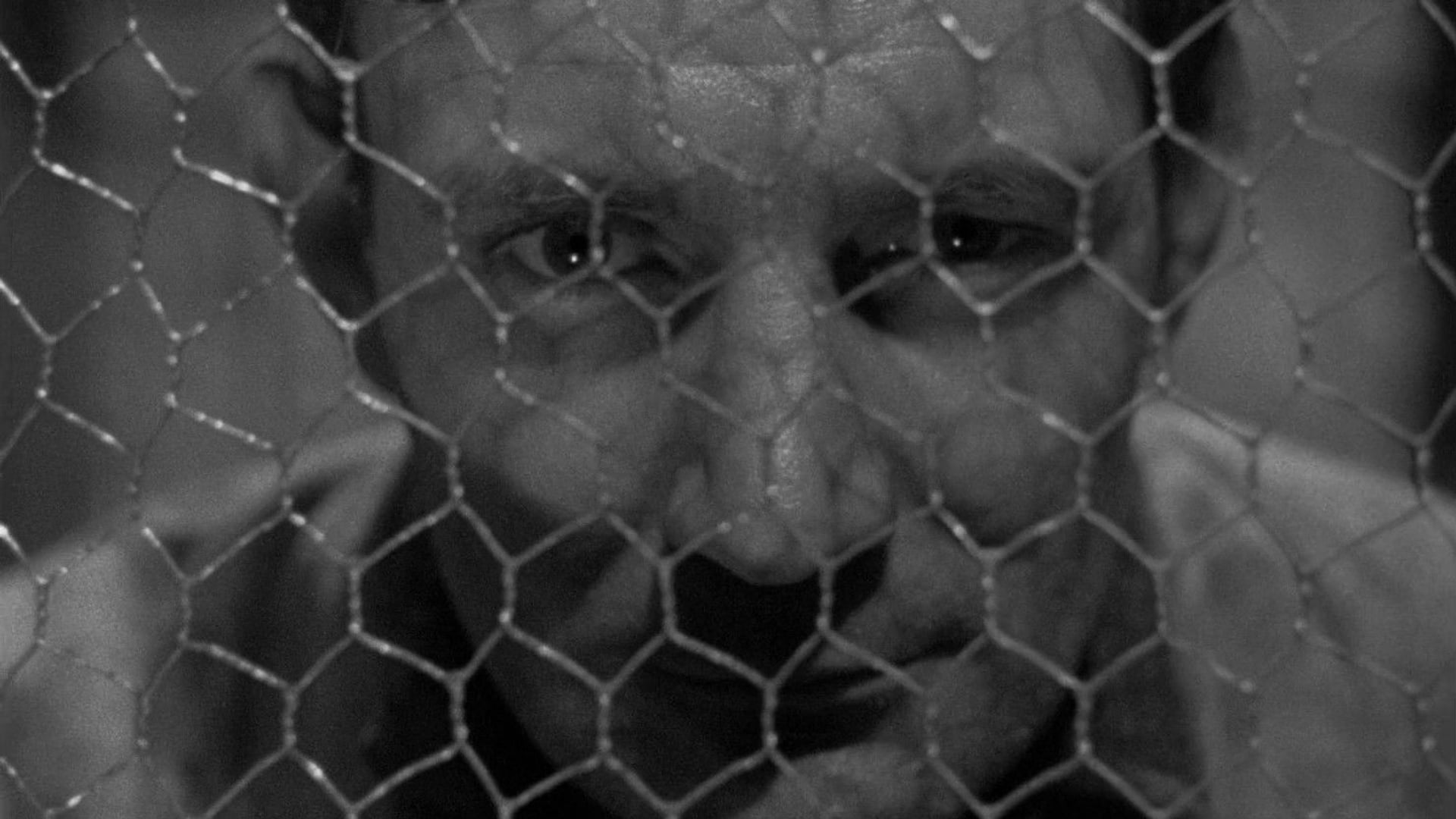 Foto do filme Nas Garras da Fatalidade