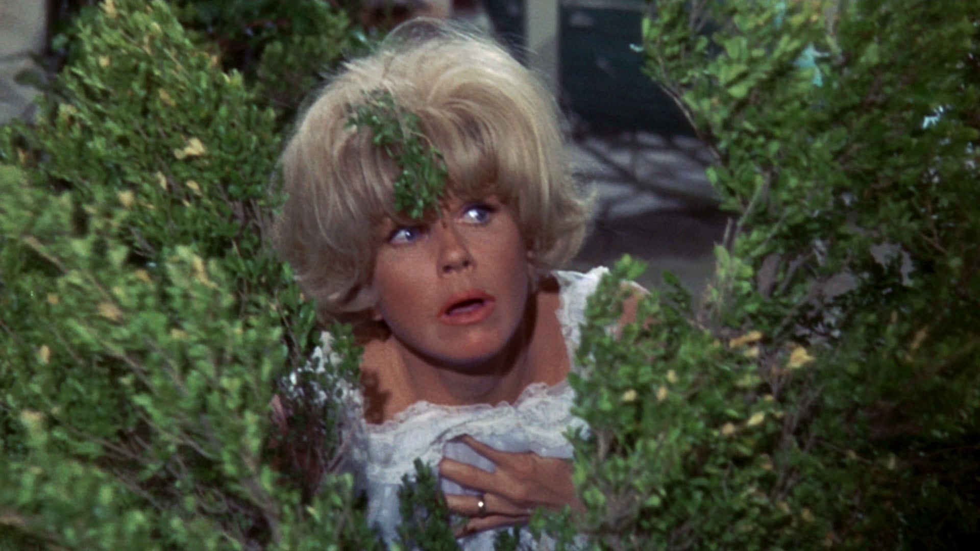 Foto do filme Não Me Mandem Flores