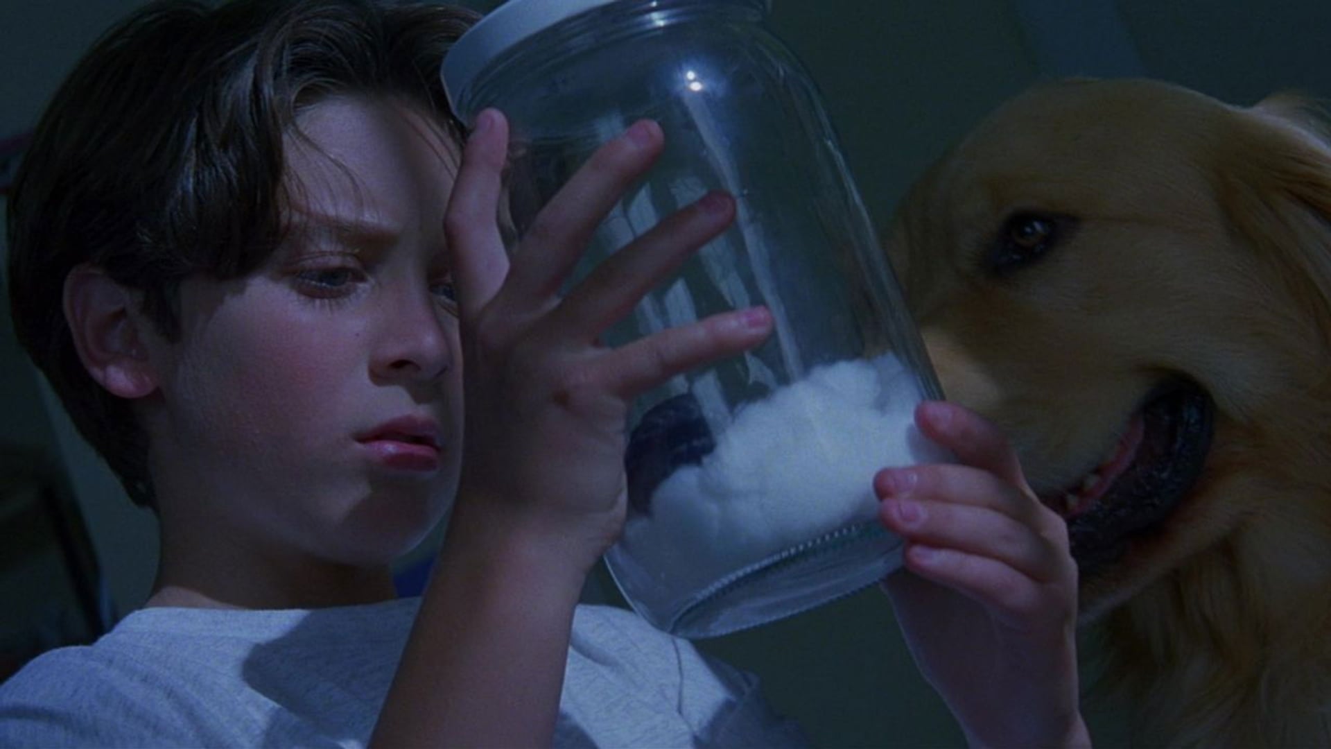 Foto do filme Guerreiros da Virtude