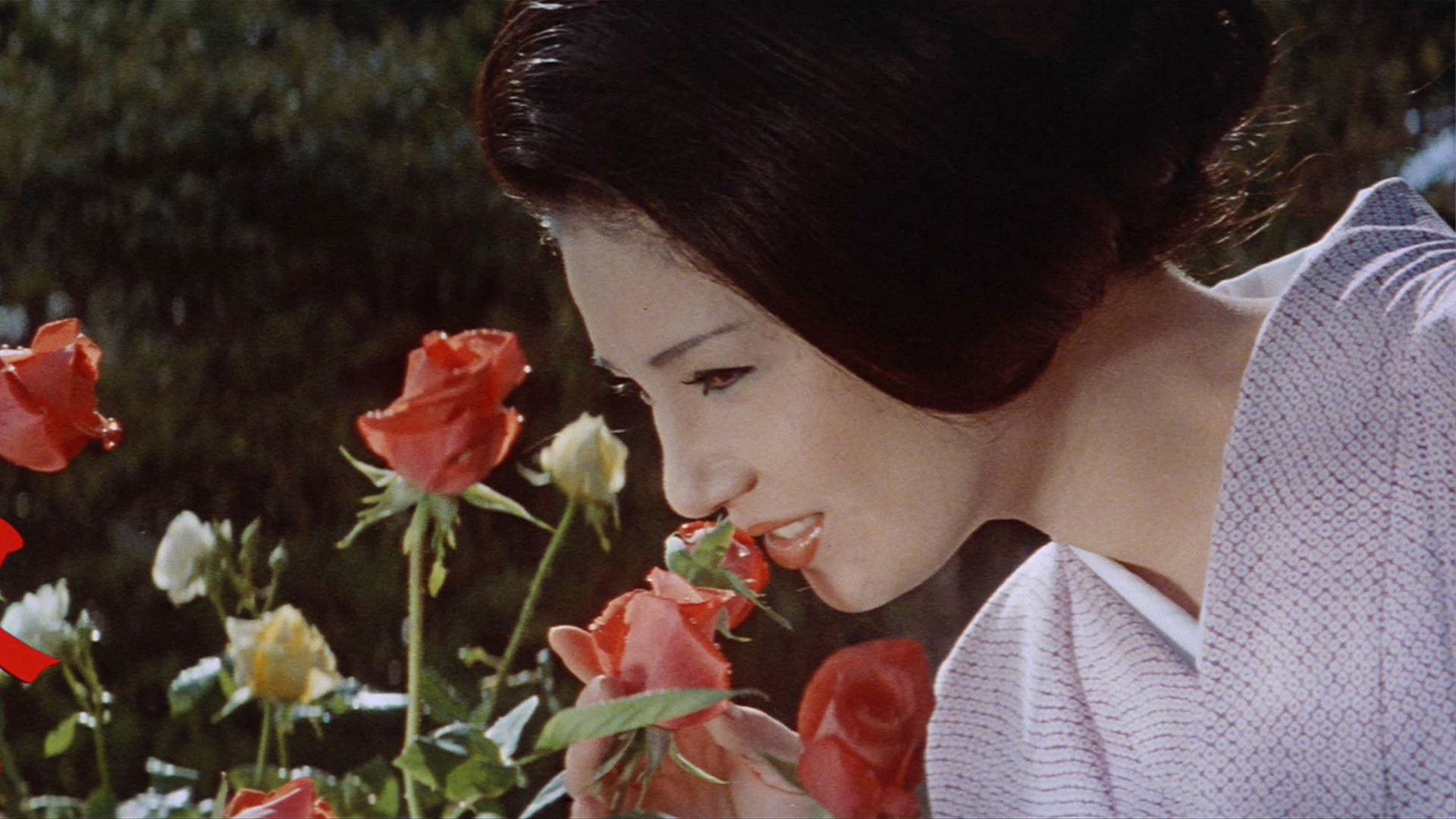 Foto do filme Flower & Snake