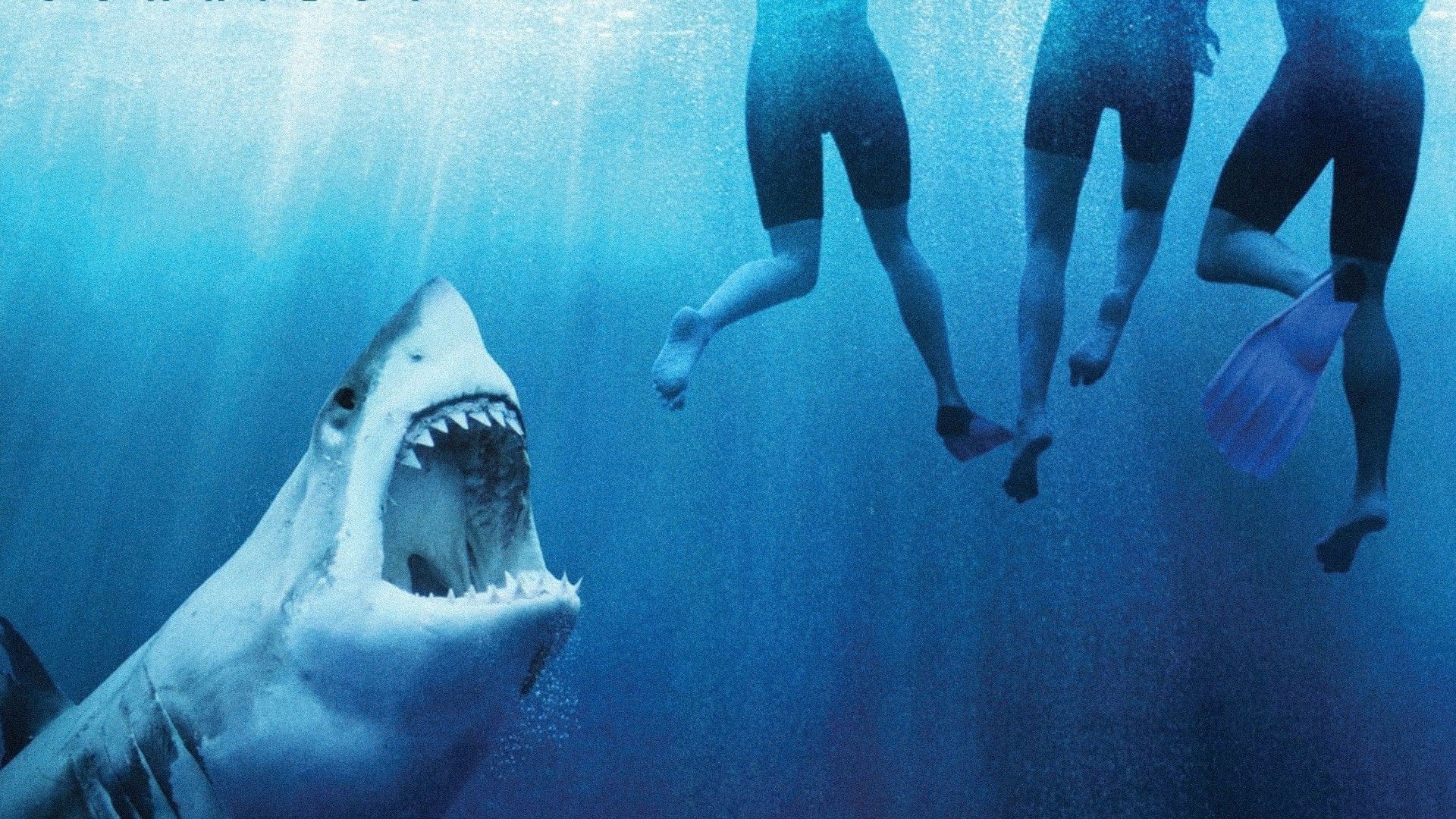 Foto do filme Perigo em Alto Mar