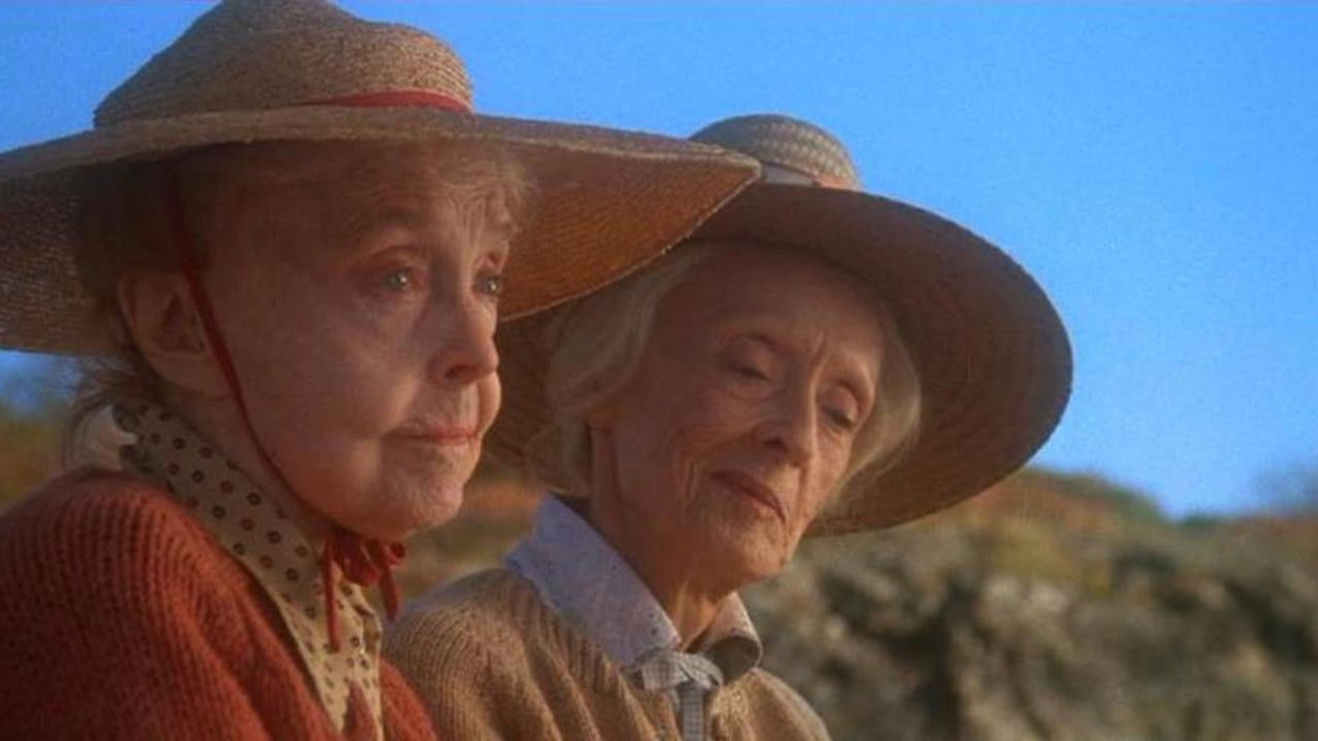 Foto do filme Baleias de Agosto